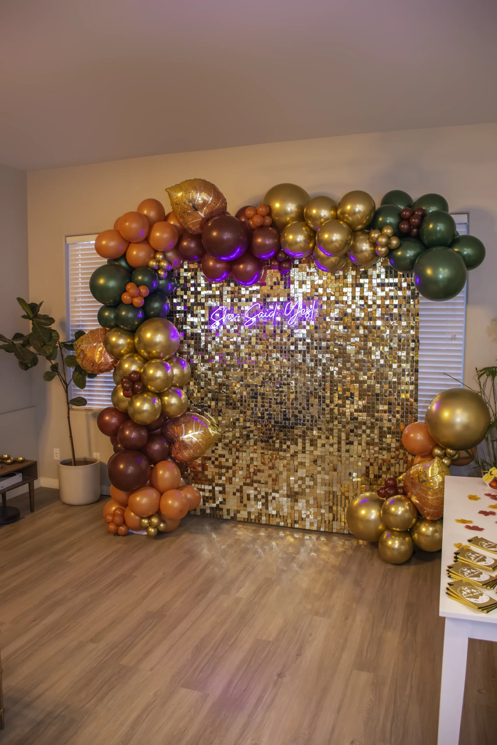 Scottsdale Before The Veil Backdrop Setup